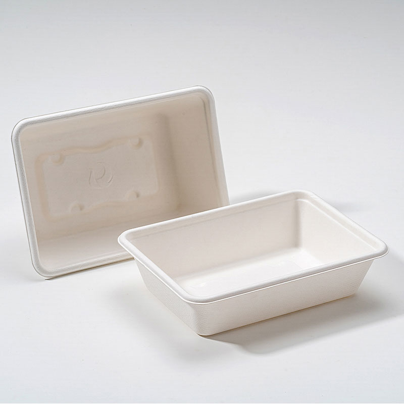 Bagasse firkantet kasse